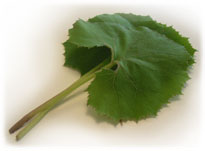 ӂ