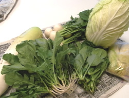 新鮮な野菜たち