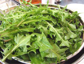 ۂ