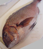 鯛を焼く