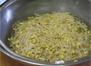 新鮮でおいしそうな大豆もやし