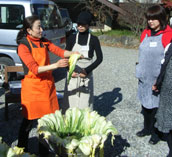 白菜のしぼりかたの説明