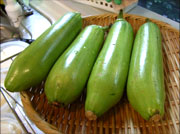 Nڂ