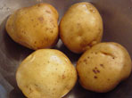 JW`a