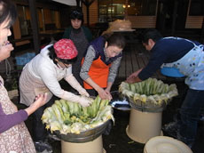 白菜をザルにあげる