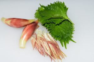 豆腐の冷菜のレシピ