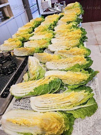 class-20260222-kimchi_3